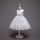 Lace Embellished Birthday Princess Flower Girl Dresses