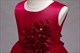 Lace Embellished Birthday Princess Flower Girl Dresses