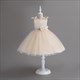 Tulle Birthday Princess Flower Girl Dress With Bows