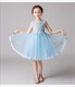 Lace Bodice Tulle Birthday Princess Dress With Pearls