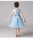 Lace Bodice Tulle Birthday Princess Dress With Pearls