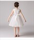 Lace Bodice Tulle Birthday Princess Dress With Pearls