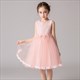 Lace Bodice Tulle Birthday Princess Dress With Pearls