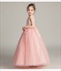 Lace Applique Sleeveless Tulle Birthday Princess Dress