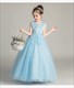 Lace Applique Sleeveless Tulle Birthday Princess Dress