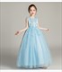 Lace Applique Sleeveless Tulle Birthday Princess Dress