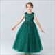 Lace Applique Sleeveless Tulle Birthday Princess Dress