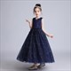 Lace Applique Sleeveless Tulle Birthday Princess Dress