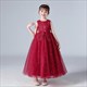 Lace Applique Sleeveless Tulle Birthday Princess Dress