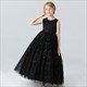 Lace Applique Sleeveless Tulle Birthday Princess Dress
