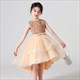 Sequin Sleeveless Tulle High Low Birthday Dress
