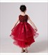 Sequin Sleeveless Tulle High Low Birthday Dress
