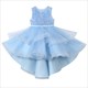 Sequin Sleeveless Tulle High Low Birthday Dress