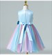 Rainbow Birthday Tutu Flower Girl Dress With Sequin Embellishments