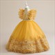 Lace Embellished Flutter Sleeve Flower Girl Dress