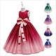 Crystal Butterfly Sequin Tutu Dress For Girls
