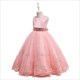 Latest Design 3-8 Years Old Girl Dress Teenage Birthday Party Dress