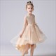 Girls Dress Style Elegant New Year Princess Children Evening Wedding Party Dress Design Tail Chinese