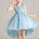 Girls Dress Style Elegant New Year Princess Children Evening Wedding Party Dress Design Tail Chinese