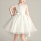 Girls Dress Style Elegant New Year Princess Children Evening Wedding Party Dress Design Tail Chinese