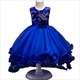Children’S Elegant Princess Tutu Dress With Embroidery