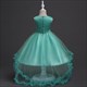 Children’S Elegant Princess Tutu Dress With Embroidery