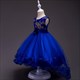 Children’S Elegant Princess Tutu Dress With Embroidery