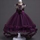 Children’S Elegant Princess Tutu Dress With Embroidery
