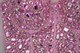 Halloween Party Tops Tee Quality Show T Shirt Women Fashion Luxury T-Shirt Woman Clothes Blusas Push Up Tshirt Bling Rhinestone