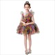Rainbow High Low Tutu Dress For Girls - Puffy Cocktail Pageant Gown