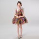 Rainbow High Low Tutu Dress For Girls - Puffy Cocktail Pageant Gown