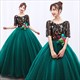Green Ball Gown Scoop Neck Quinceanera Dress Floral Tulle Half Sleeves Embroidery