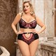 Plus Size Lace Bra And Panty Set With Briefs