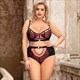 Plus Size Lace Bra And Panty Set With Briefs