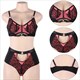 Plus Size Lace Bra And Panty Set With Briefs