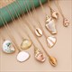 Hesiod Boho Conch Shells Necklace Sea Beach Shell Pendant Necklace Chain Jewelry For Women Collier Femme Shell Gold Color