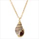 Hesiod Boho Conch Shells Necklace Sea Beach Shell Pendant Necklace Chain Jewelry For Women Collier Femme Shell Gold Color