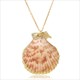 Hesiod Boho Conch Shells Necklace Sea Beach Shell Pendant Necklace Chain Jewelry For Women Collier Femme Shell Gold Color