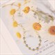 Stainless Steel Pendant Eye Necklace Clavicle Chain For Women