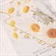 Stainless Steel Pendant Eye Necklace Clavicle Chain For Women
