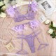 Feather Lingerie Lace Bra With Chain Sets Garters Erotic Costumes Transparent 3 Piece
