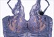 Floral Lace Deep V Bodysuit