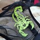 Spitze Mesh Skorpion Damen Tanga Transparente Panties Unterwäsche