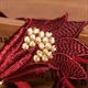 Y Lace Pearl Panties For Women Floral Low Waisty Lingerie Female Underwear Transparent G-Strings Erotic Thong Strings