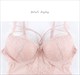 Lace Embroidery Lingerie Bodysuit With Push Up Padding