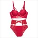Lace Mesh Lingerie Set With Garter Strappy Hollow Out Bra And Panty