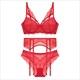 Unlined Lingerie Set 3-Piece Bra, Panty & Garter Lace Push Up Hollow Out Underwear