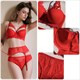 Lace Mesh Lingerie 3-Piece Bra Panties Garter Set With Strappy Push Up Underwear