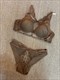 Lace Lingerie Bra And Panties Set