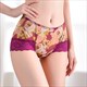 Plus Size Retro Mesh Lace Underwear
